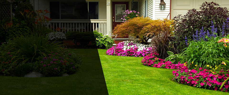 Anaheim Landscapers