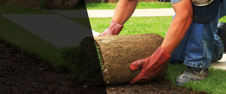 Anaheim Landscapers